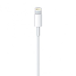 Apple kabel przewód USB-A - Lightning 2m biały (MD819)