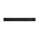 Listwa basic PDU20BHVIEC12R 1U, 16A, 1xC20, 12xC13