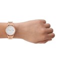 SKAGEN Mod. SIGNATUR LILLE