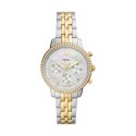 FOSSIL WATCHES Mod. ES5216