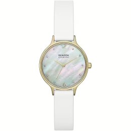 SKAGEN DENMARK WATCHES Mod. SKW3138