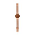 Ladies' Watch Swatch (Ø 38 mm)