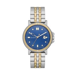 Men's Watch Skagen SKW6921 Silver (Ø 40 mm)