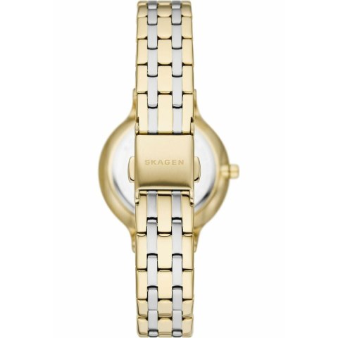 Ladies' Watch Skagen SKW3132 Ladies' Watch Skagen SKW3132