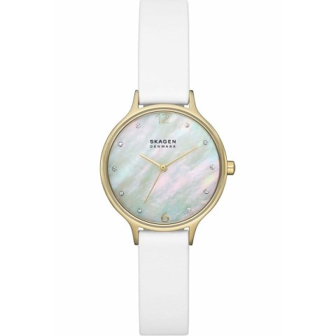 Ladies' Watch Skagen SKW3138 Ladies' Watch Skagen SKW3138