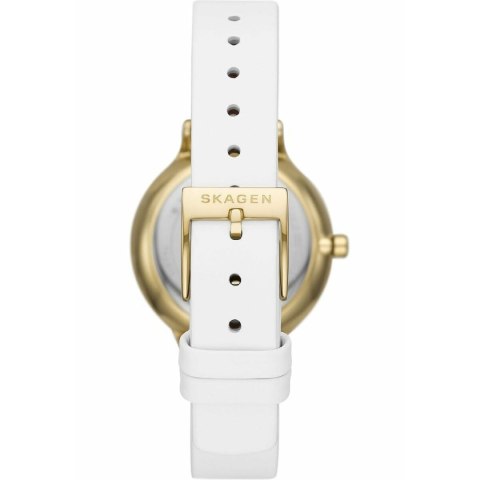 Ladies' Watch Skagen SKW3138 Ladies' Watch Skagen SKW3138