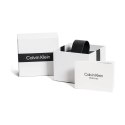 Ladies' Watch Calvin Klein 25200249