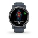 Smartwatch GARMIN 010-02430-10 Blue Silver