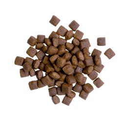 BULT Karma sucha z łososiem i pstrągiem dla psa 3kg