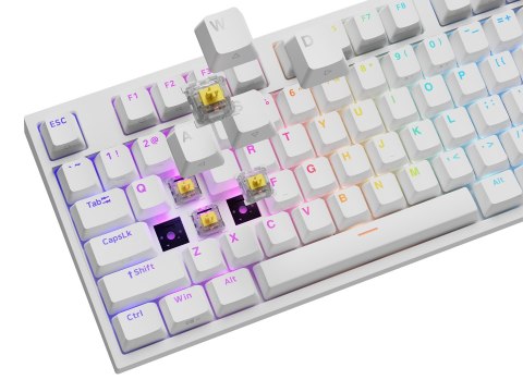 Klawiatura GENESIS THOR 404 uniwersalne USB QWERTY Angielski Biały Klawiatura GENESIS THOR 404 uniwersalne USB QWERTY Angielski Biały
