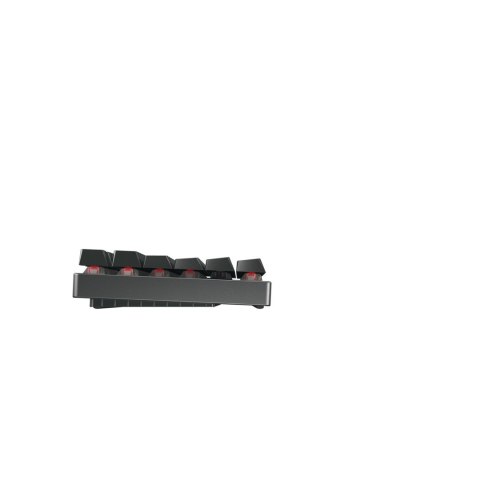 CHERRY MX 8.2 TKL Wireless RGB klawiatura Gaming RF Wireless + Bluetooth QWERTZ Niemiecki Czarny CHERRY MX 8.2 TKL Wireless RGB klawiatura Gaming RF Wireless + Bluetooth QWERTZ Niemiecki Czarny