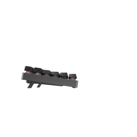 CHERRY MX 8.2 TKL Wireless RGB klawiatura Gaming RF Wireless + Bluetooth QWERTZ Niemiecki Czarny CHERRY MX 8.2 TKL Wireless RGB klawiatura Gaming RF Wireless + Bluetooth QWERTZ Niemiecki Czarny