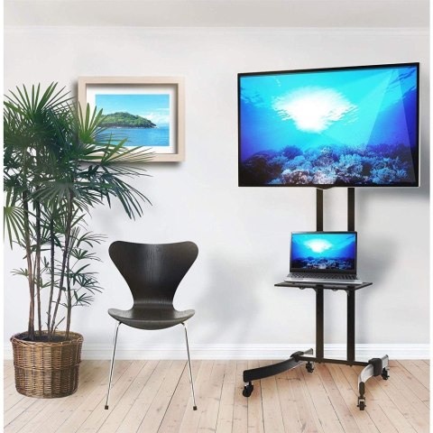 Techly ICA-TR23 Stolik pod telewizor lub centrum rozrywki 1 pół. Techly ICA-TR23 Stolik pod telewizor lub centrum rozrywki 1 pół.