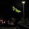 POWERNEED SOLARNA LAMPA ULICZNA 3000LM, LED X42, PANEL SOLARNY 18.75W, CZUJNIK RUCHU I ZMIERZCHOWY, 360°, CZARNA, SLL-31