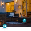 Oświetlenie LED dekoracyjne Wi-Fi Party-Lichter Warmweiss 10 LED's 9.00 m Android™ / IOS Lampendurchmesser: 45 mm