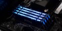 Kingston Technology FURY Renegade RGB moduł pamięci 32 GB 2 x 16 GB DDR4 3600 MT/s