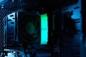 Kingston Technology FURY Renegade RGB moduł pamięci 32 GB 2 x 16 GB DDR4 3600 MT/s
