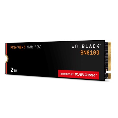 SSD WD Black SN8100 w/o HS 2TB WDS200T1X0M SSD WD Black SN8100 w/o HS 2TB WDS200T1X0M