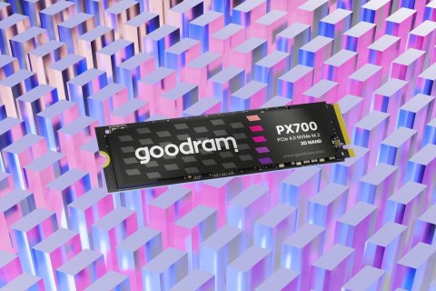 Dysk SSD PX700 1TB M.2 PCIe 2280 4x4 7400/6500MB/s