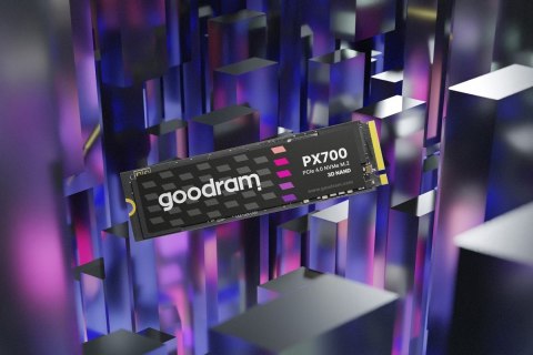 Dysk SSD PX700 1TB M.2 PCIe 2280 4x4 7400/6500MB/s