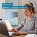 Lampa o świetle dziennym TL35