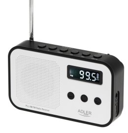 Radio cyfrowe PLL AD1907