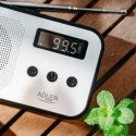 Radio cyfrowe PLL AD1907