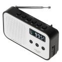 Radio cyfrowe PLL AD1907