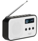 Radio cyfrowe PLL AD1907