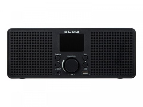 Radio sieciowe internetowe RI2