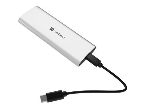 Obudowa SSD zewnętrzna RHINO M.2 NVME USB-C 3.2 arctic silver