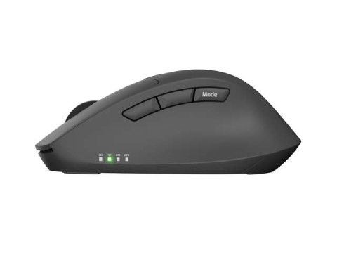 Mysz Kite 4000DPI bezprzewodowa, cicha