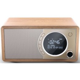 Radio DAB+ BT DR-450(BR)