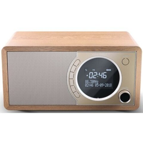 Radio DAB+ BT DR-450(BR)