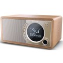 Radio DAB+ BT DR-450(BR)