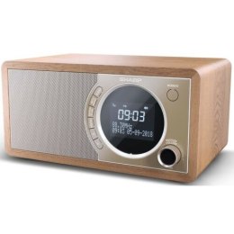 Radio DAB+ BT DR-450(BR)
