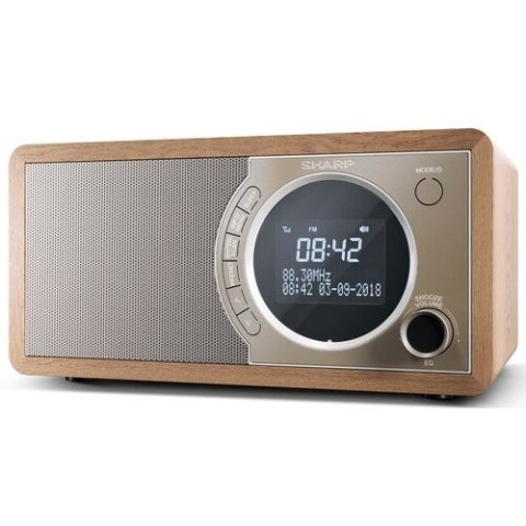 Radio DAB+ BT DR-450(BR)