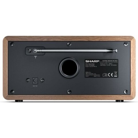 Radio DAB+ BT DR-450(BR)
