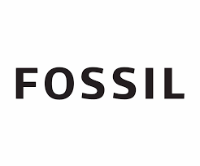 FOSSIL Q